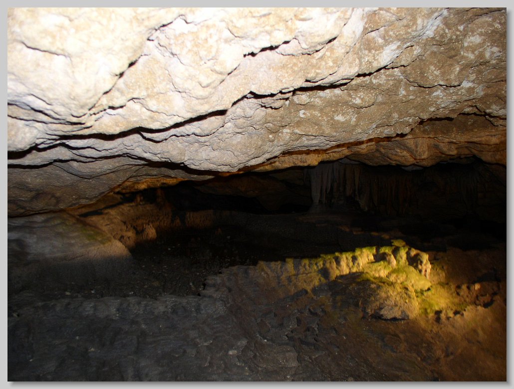 Florida Caverns State Park