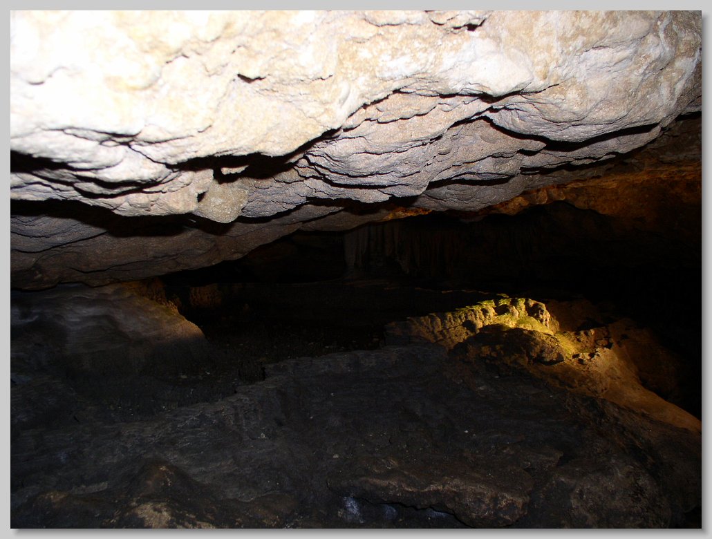Florida Caverns State Park