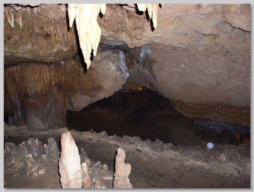 Florida Caverns State Park