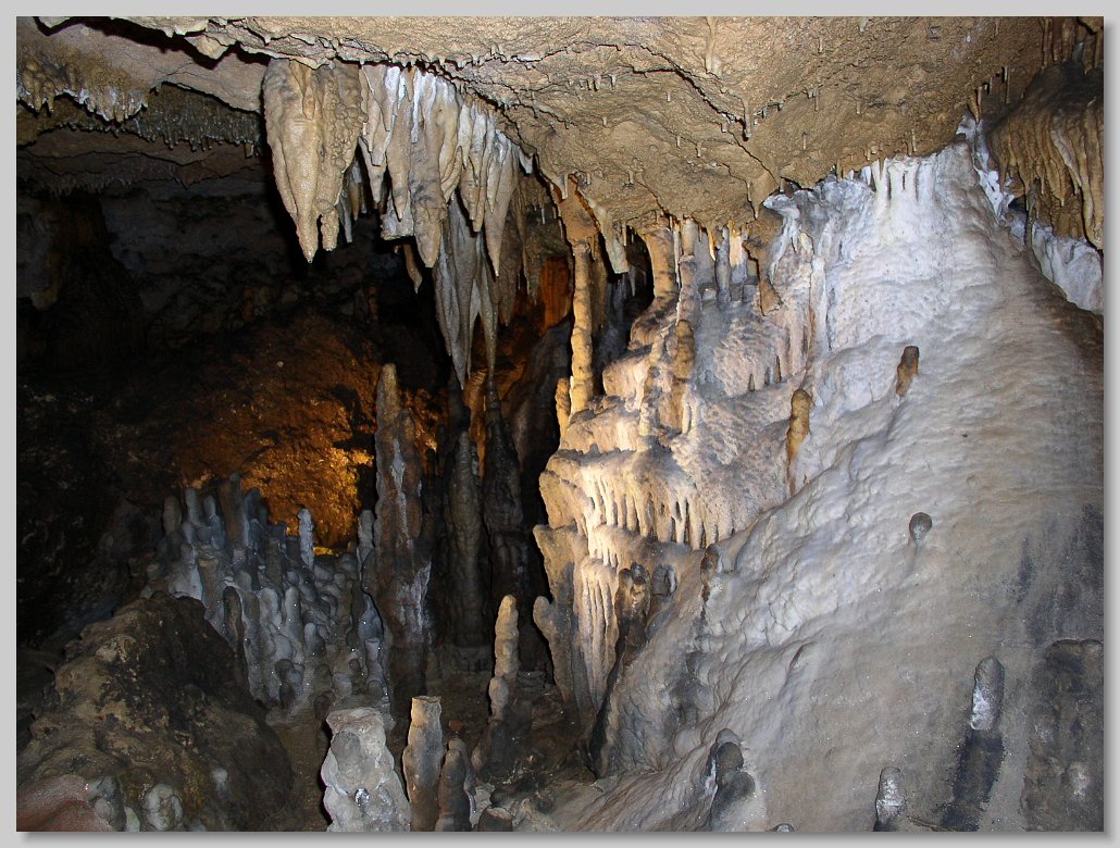 Florida Caverns State Park