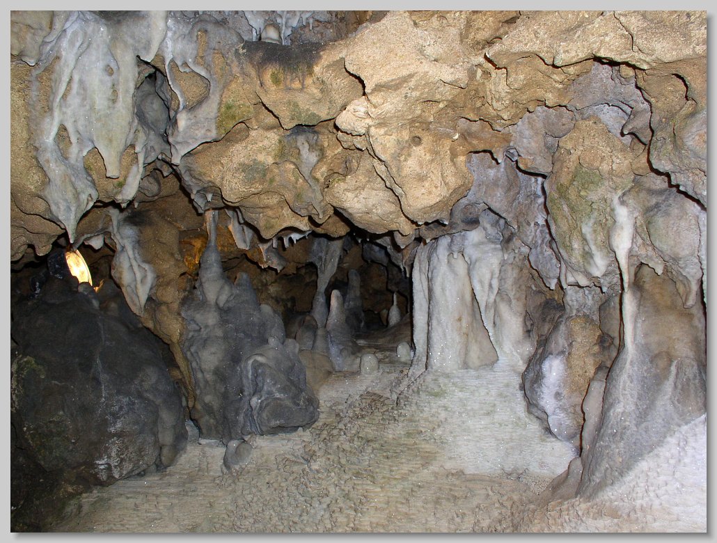 Florida Caverns State Park