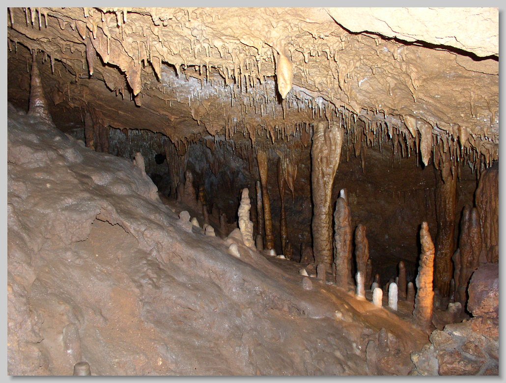 Florida Caverns State Park