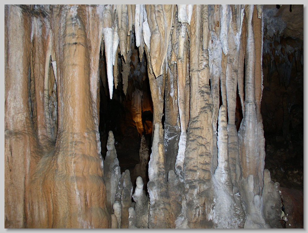 Florida Caverns State Park