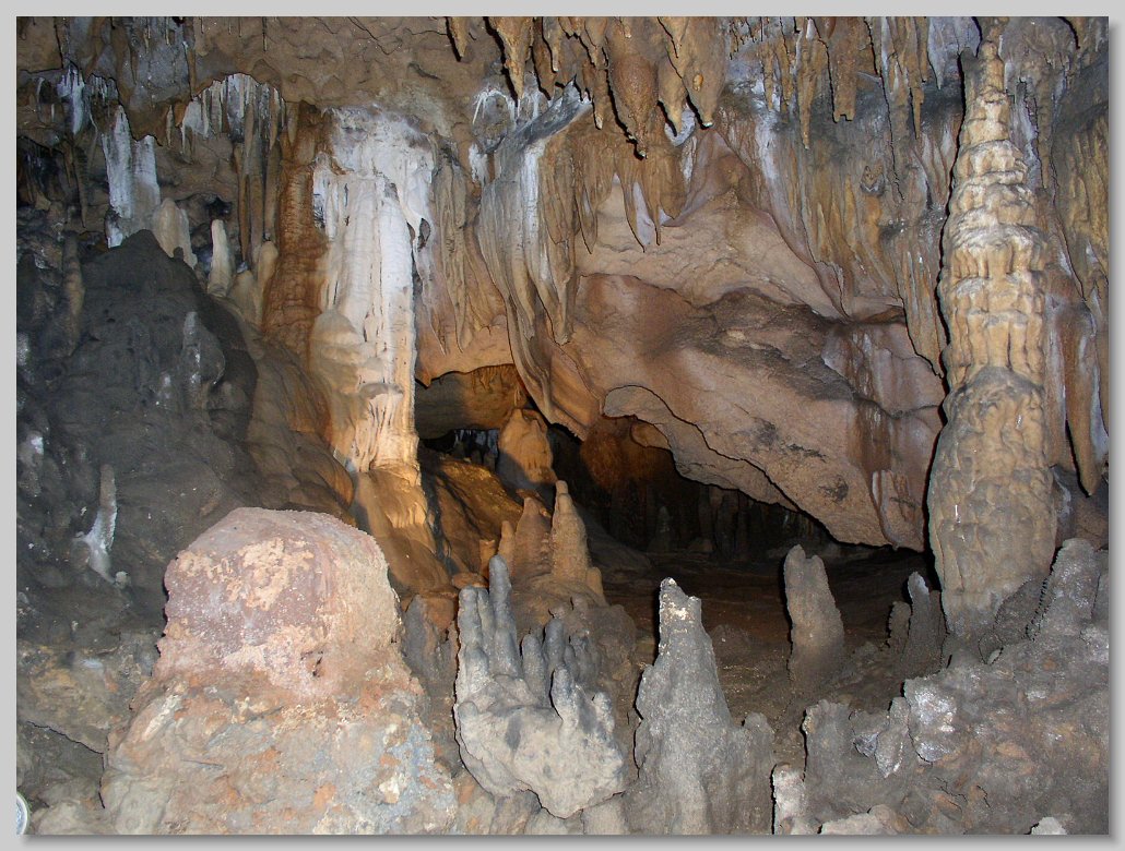 Florida Caverns State Park