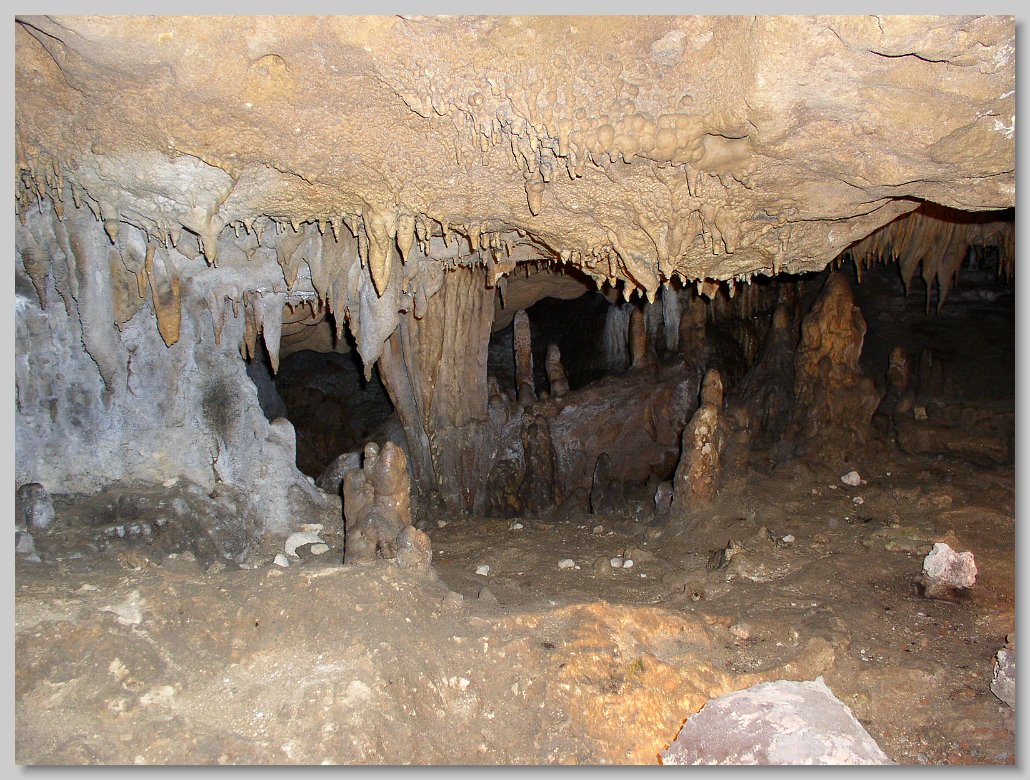 Florida Caverns State Park