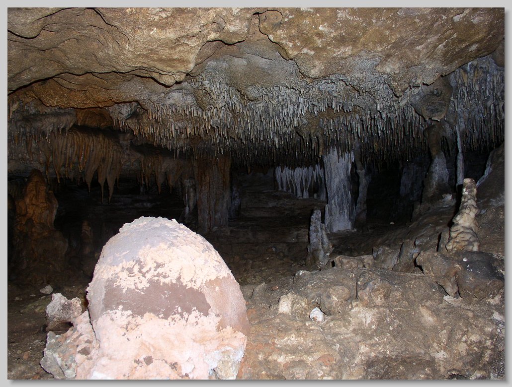 Florida Caverns State Park