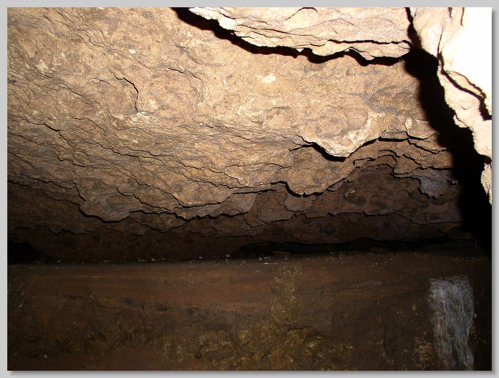 Florida Caverns State Park