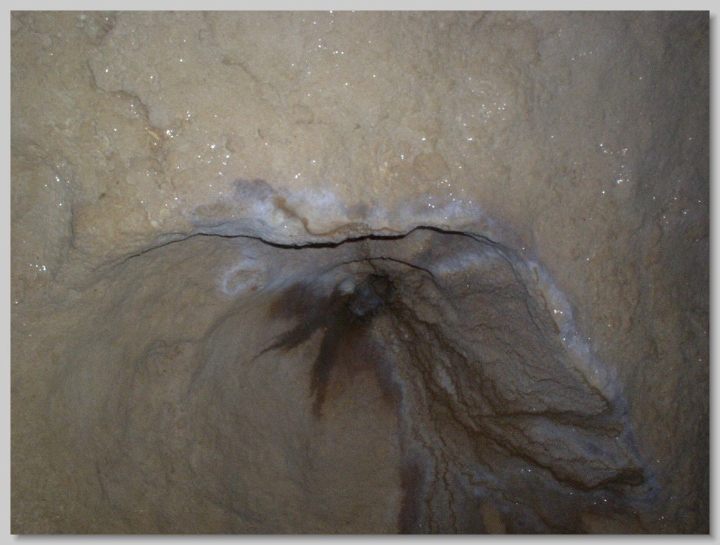 Florida Caverns State Park