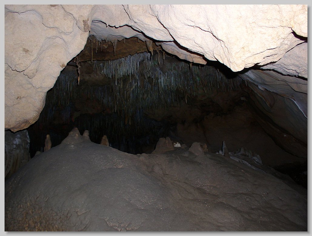Florida Caverns State Park
