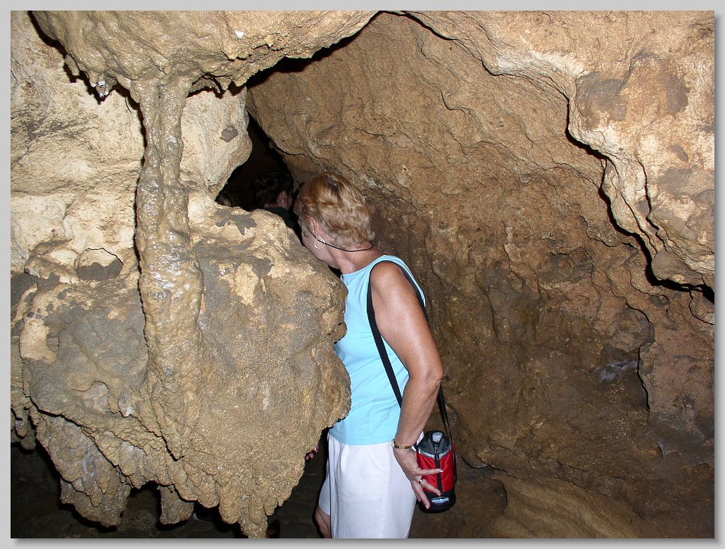 Florida Caverns State Park