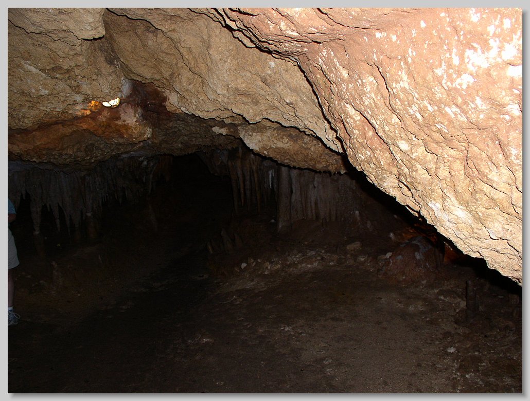 Florida Caverns State Park