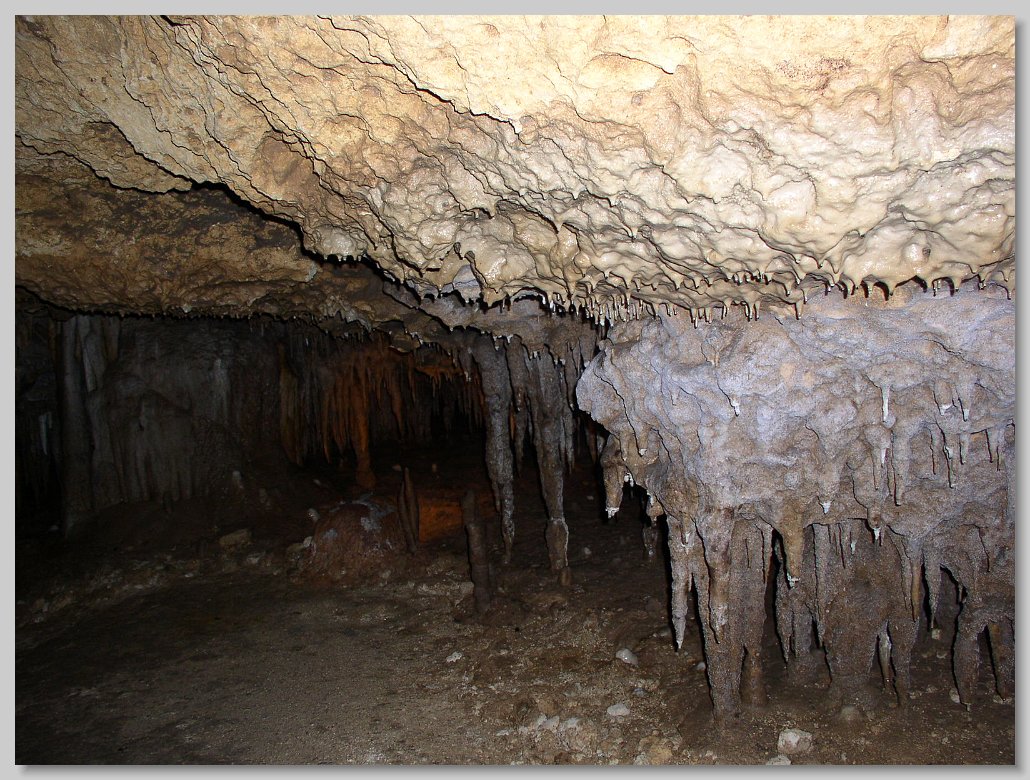 Florida Caverns State Park