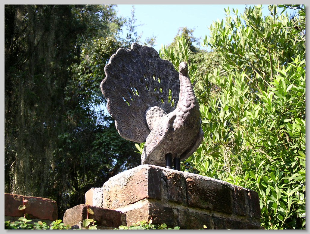 Macclay State Park