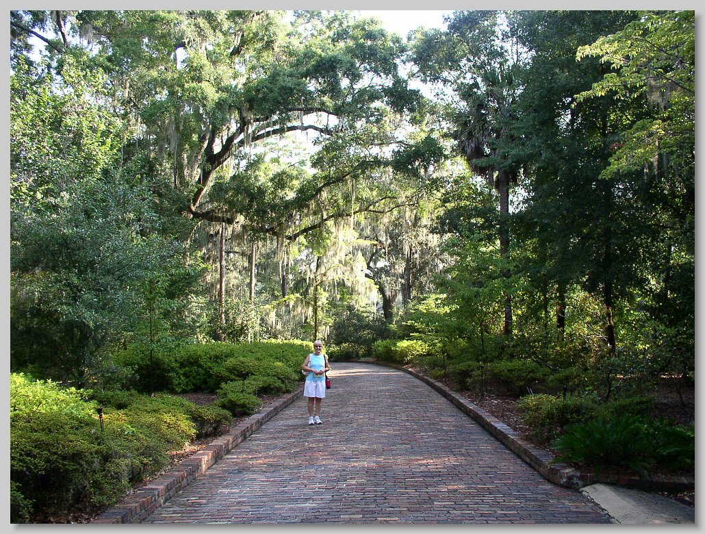 Macclay State Park