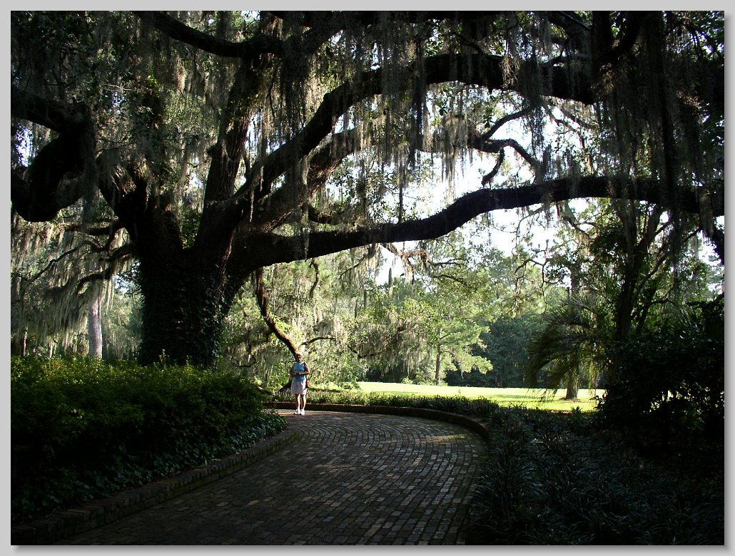 Macclay State Park