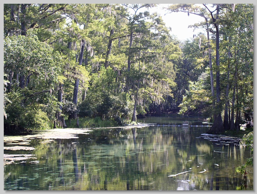 Manatee Springs State Park