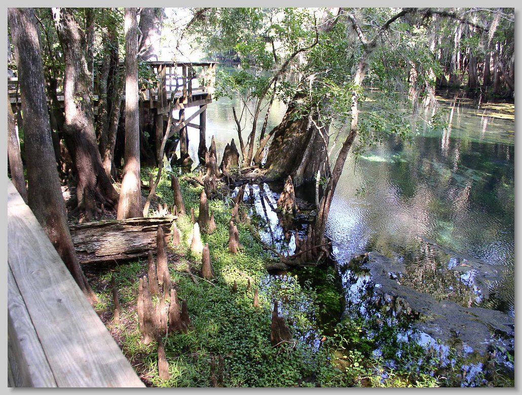 Manatee Springs State Park