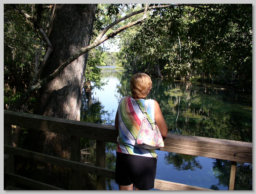 Manatee Springs State Park