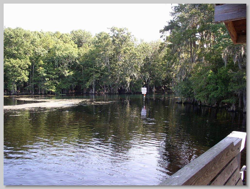 Manatee Springs State Park