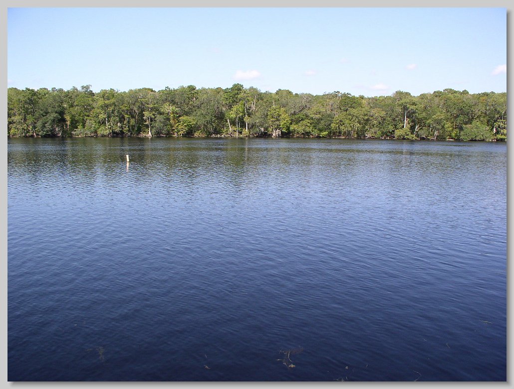 Manatee Springs State Park