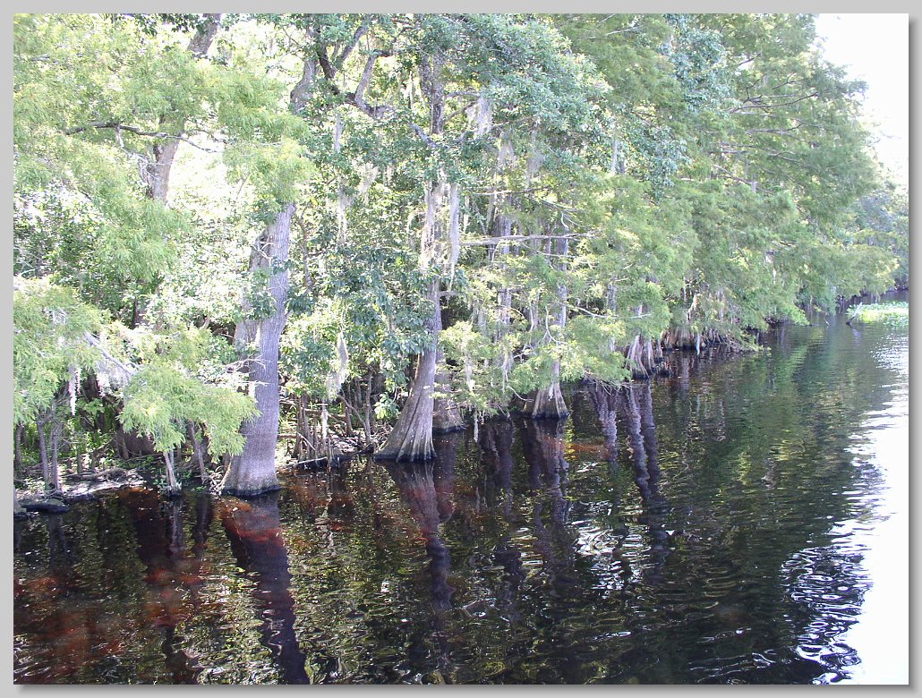 Manatee Springs State Park