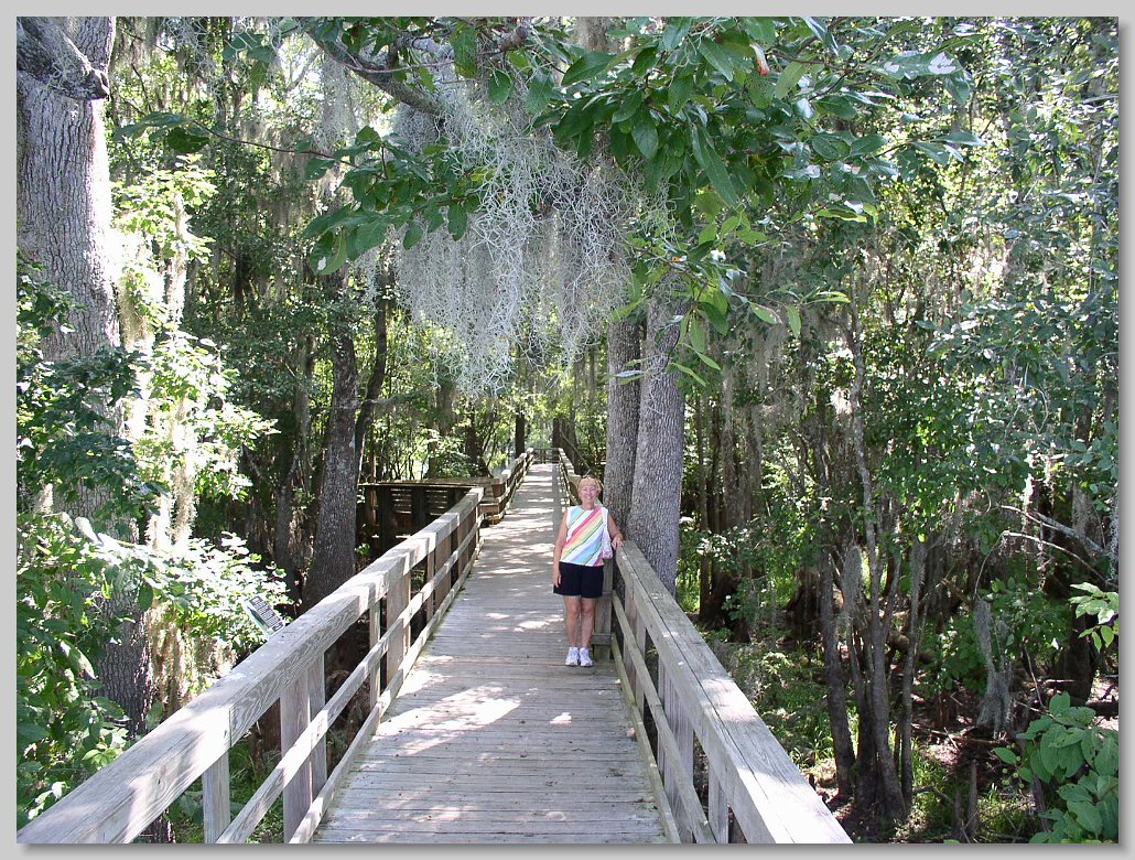 Manatee Springs State Park