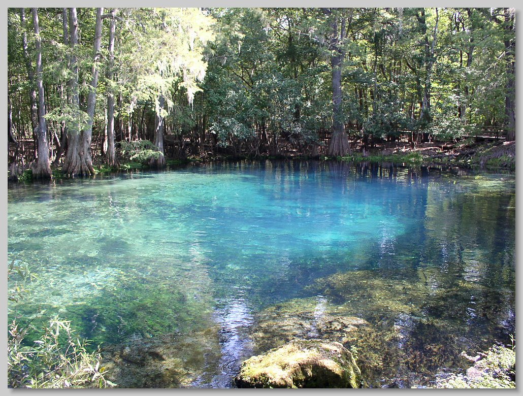 Manatee Springs State Park