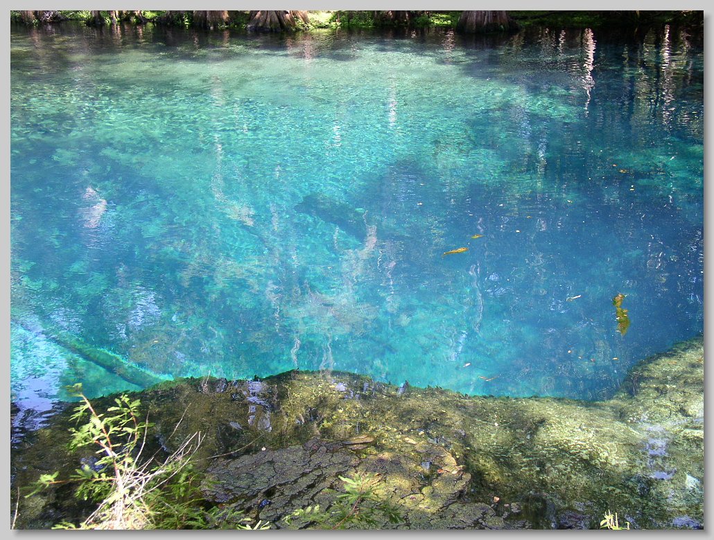 Manatee Springs State Park
