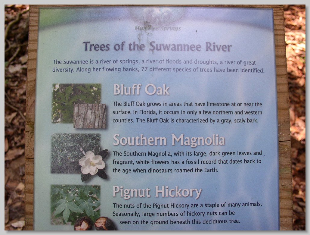 Manatee Springs State Park
