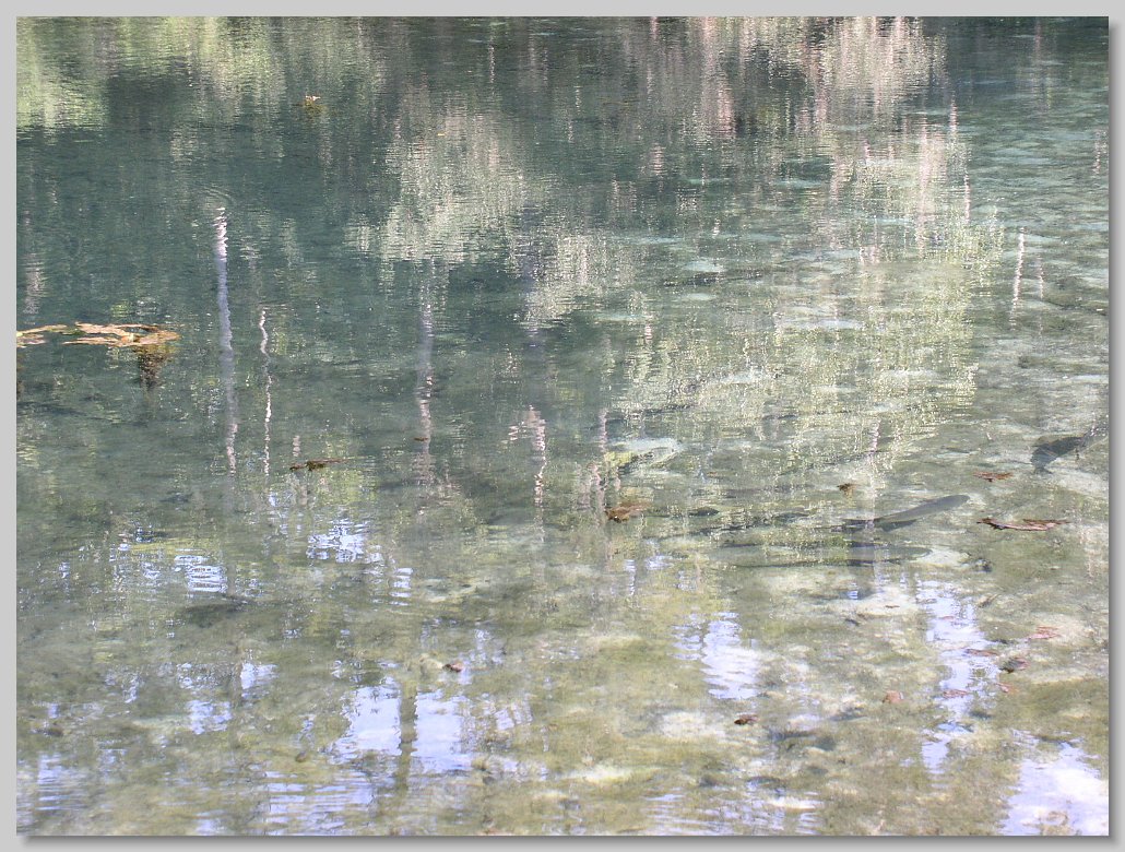 Manatee Springs State Park