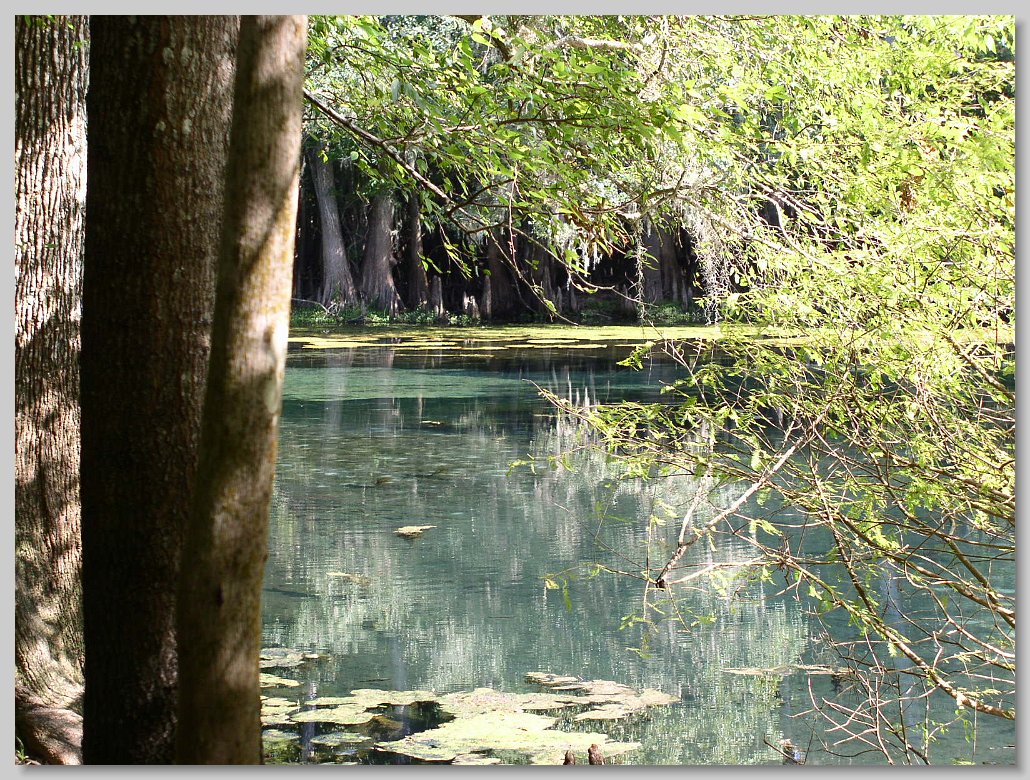 Manatee Springs State Park