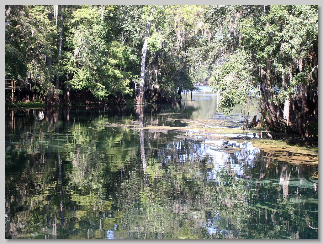 Manatee Springs State Park