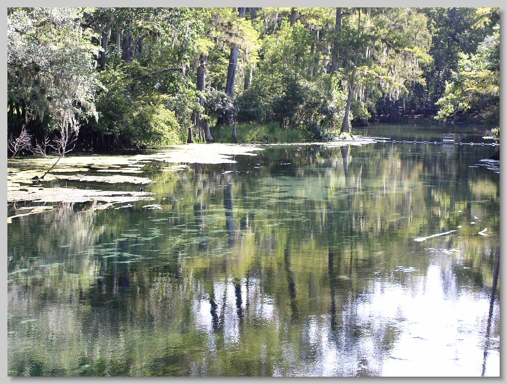 Manatee Springs State Park