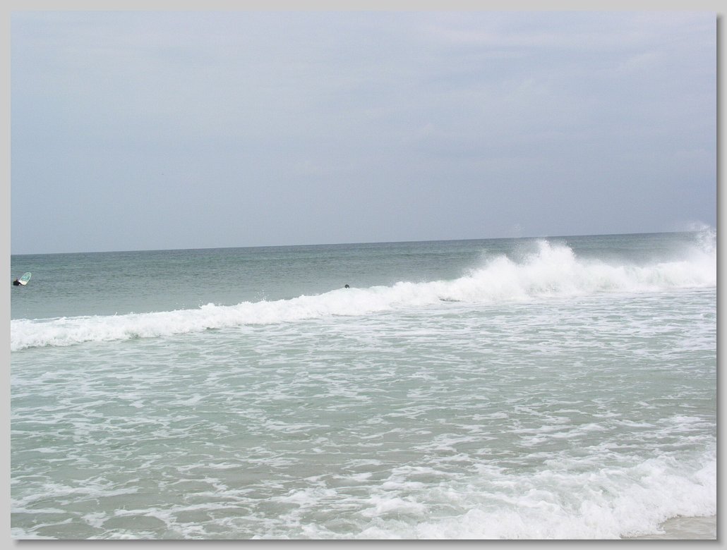 St Andrews State Park - shell Island