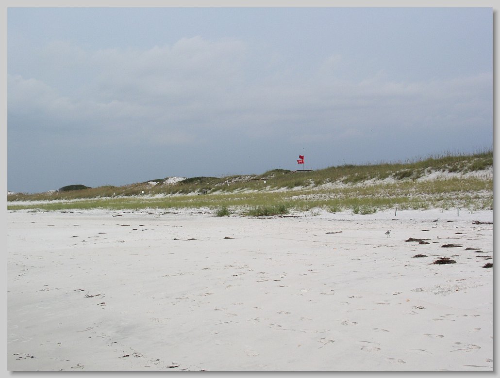 St Andrews State Park - shell Island