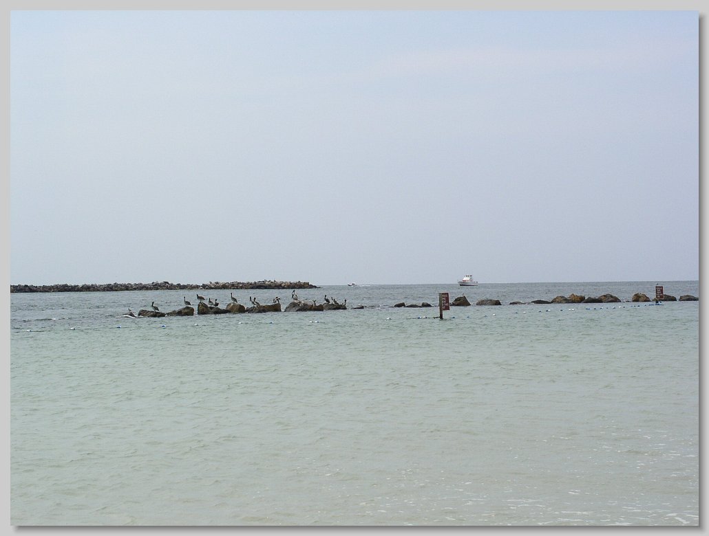 St Andrews State Park - shell Island