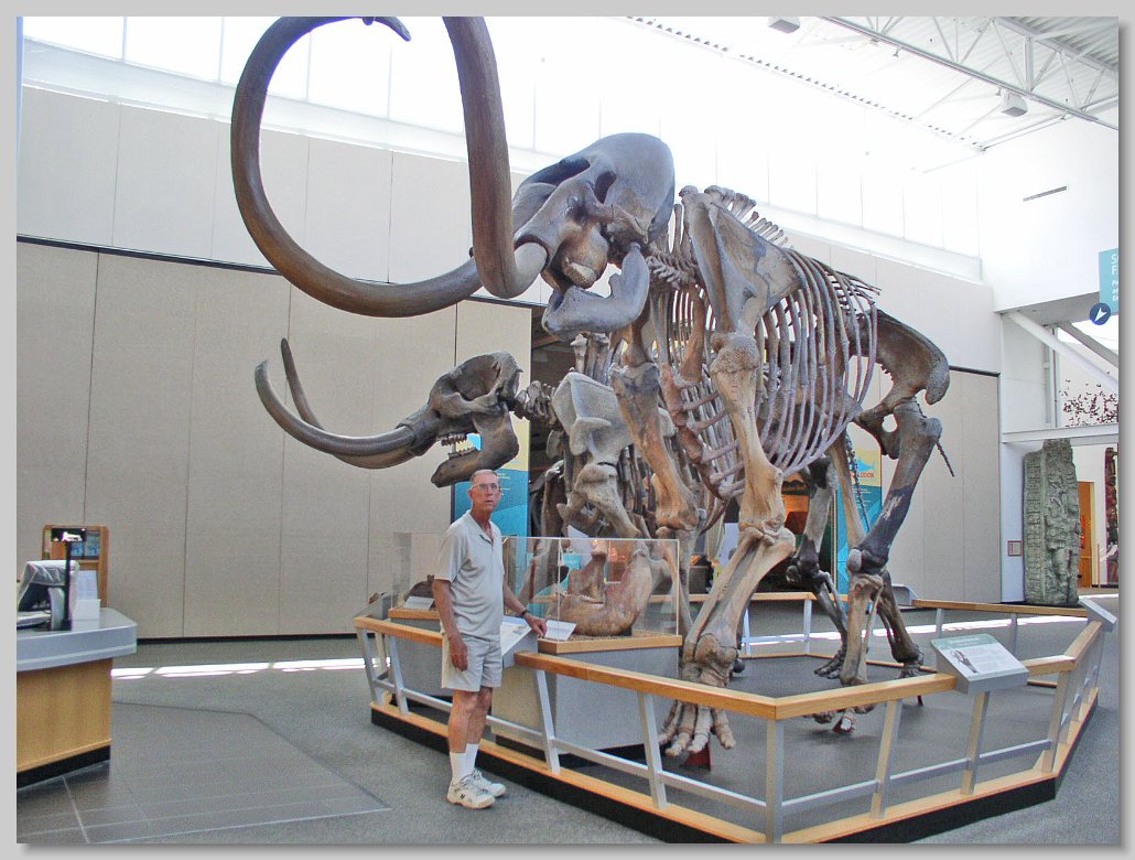museum
