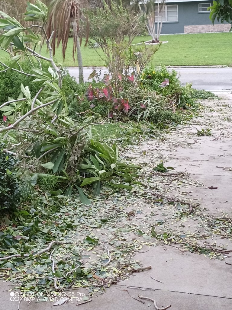 Hurricane Ian