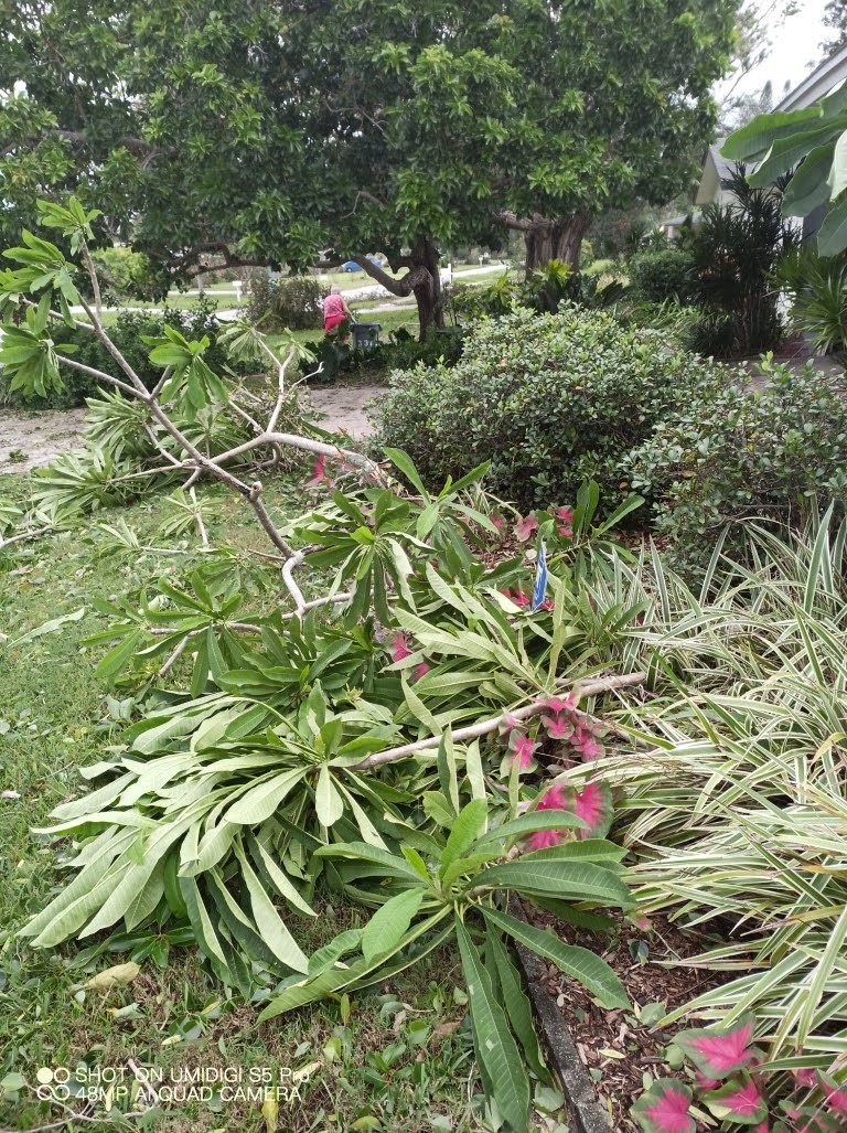 Hurricane Ian
