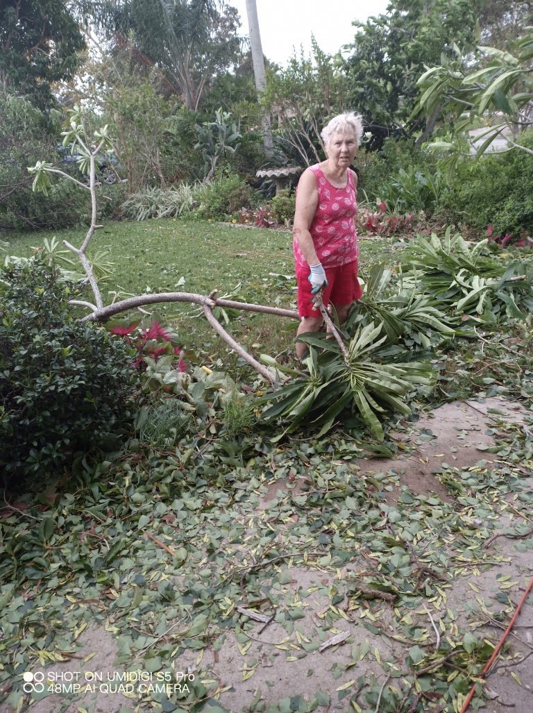 Hurricane Ian