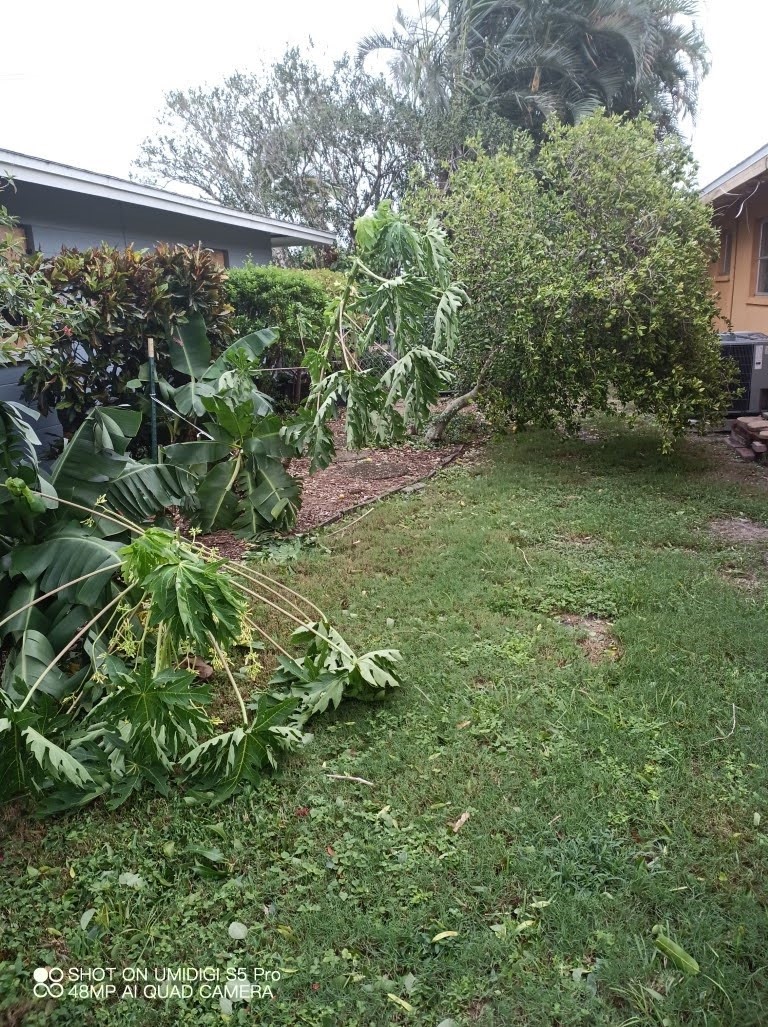 Hurricane Ian