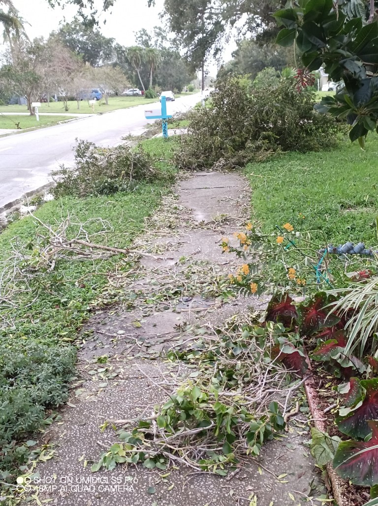 Hurricane Ian