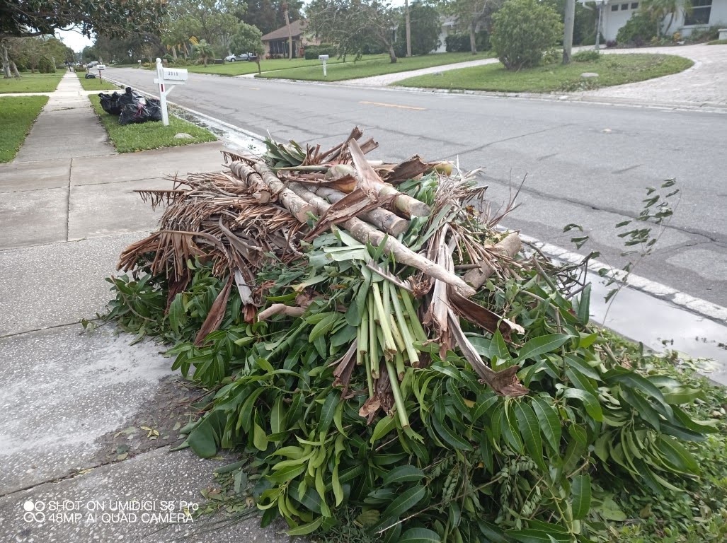 Hurricane Ian