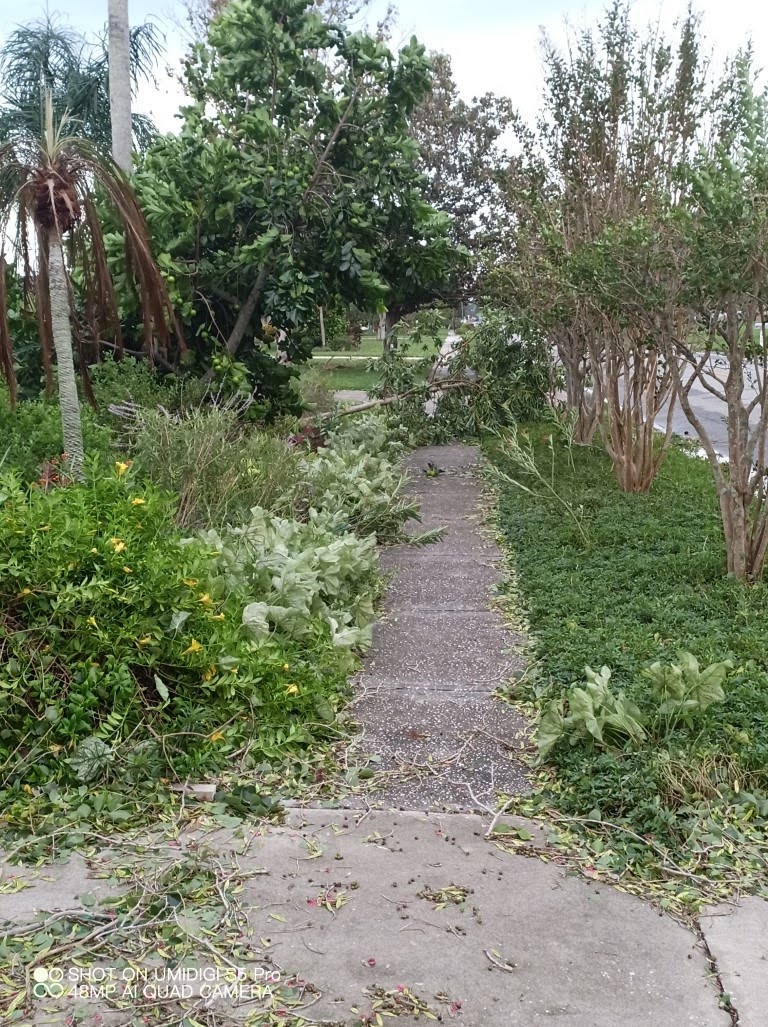 Hurricane Ian