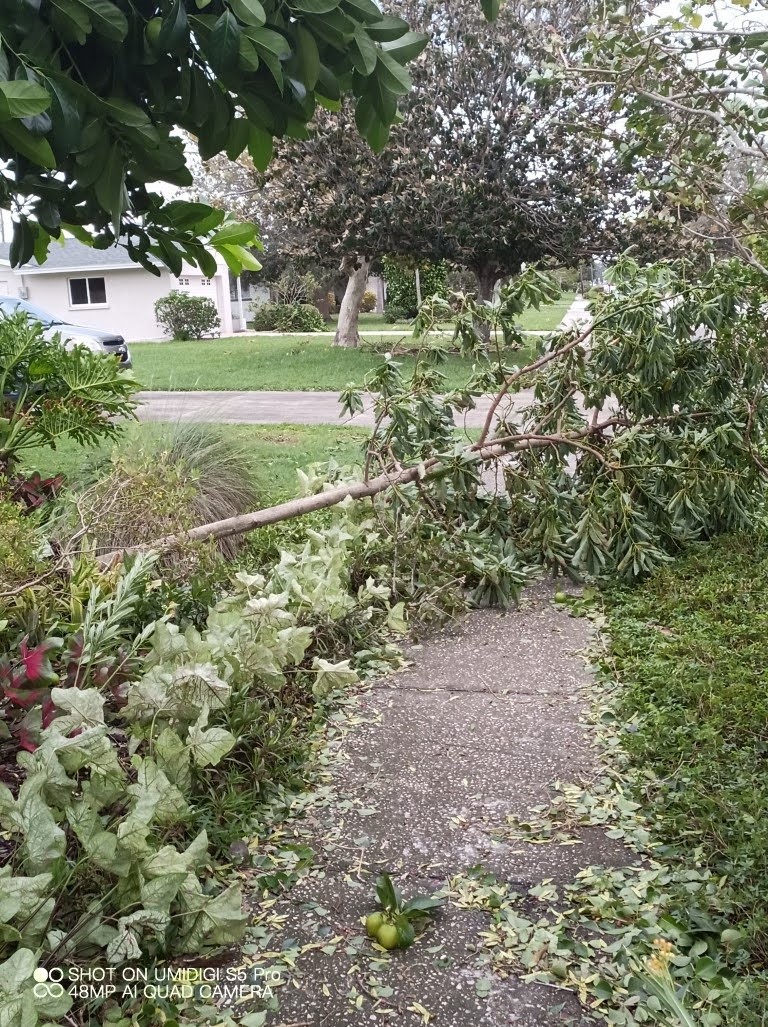 Hurricane Ian