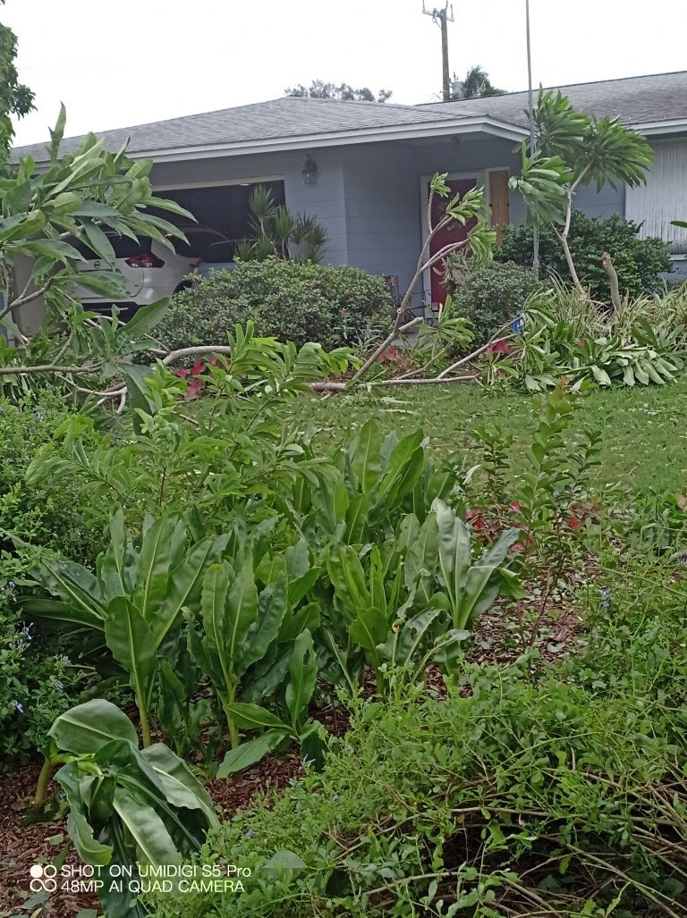 Hurricane Ian