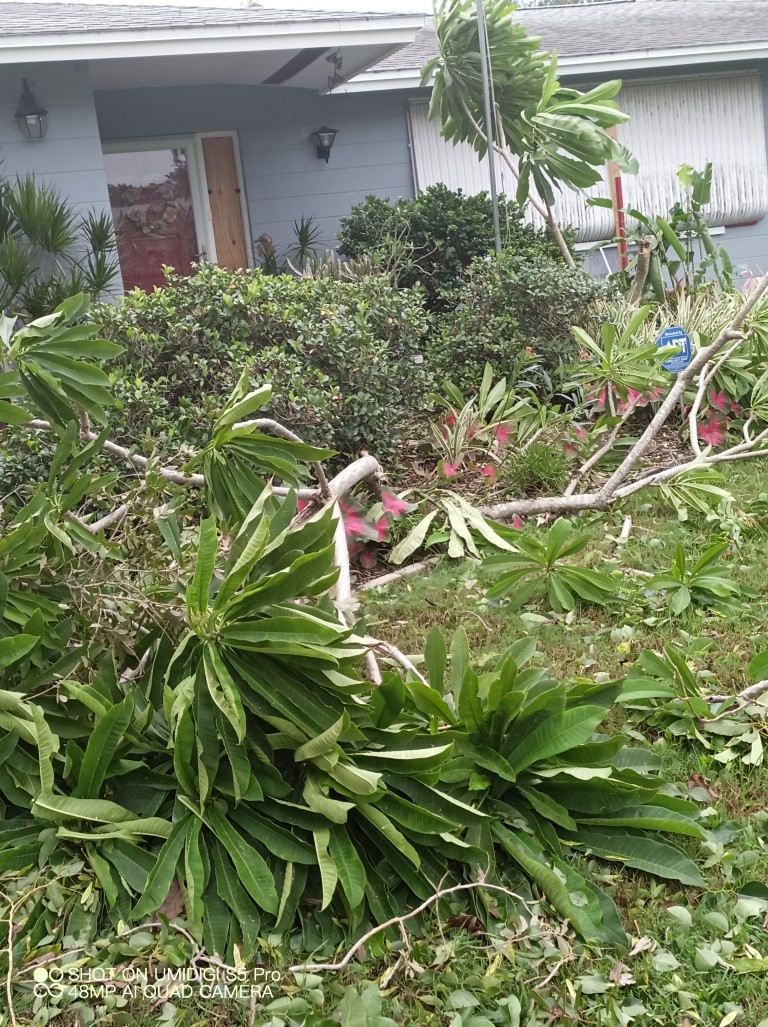 Hurricane Ian