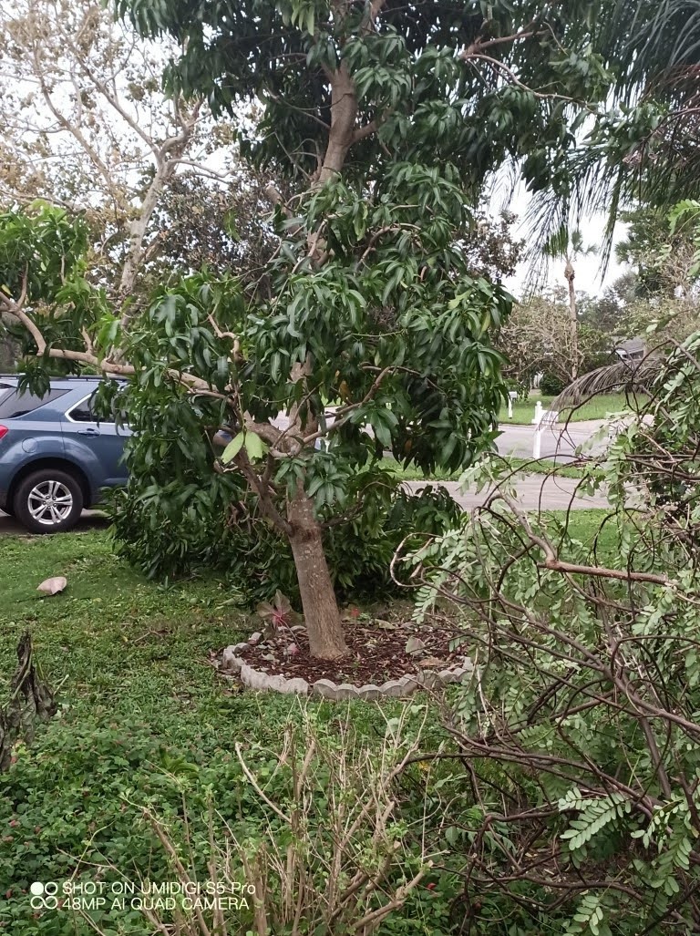 Hurricane Ian