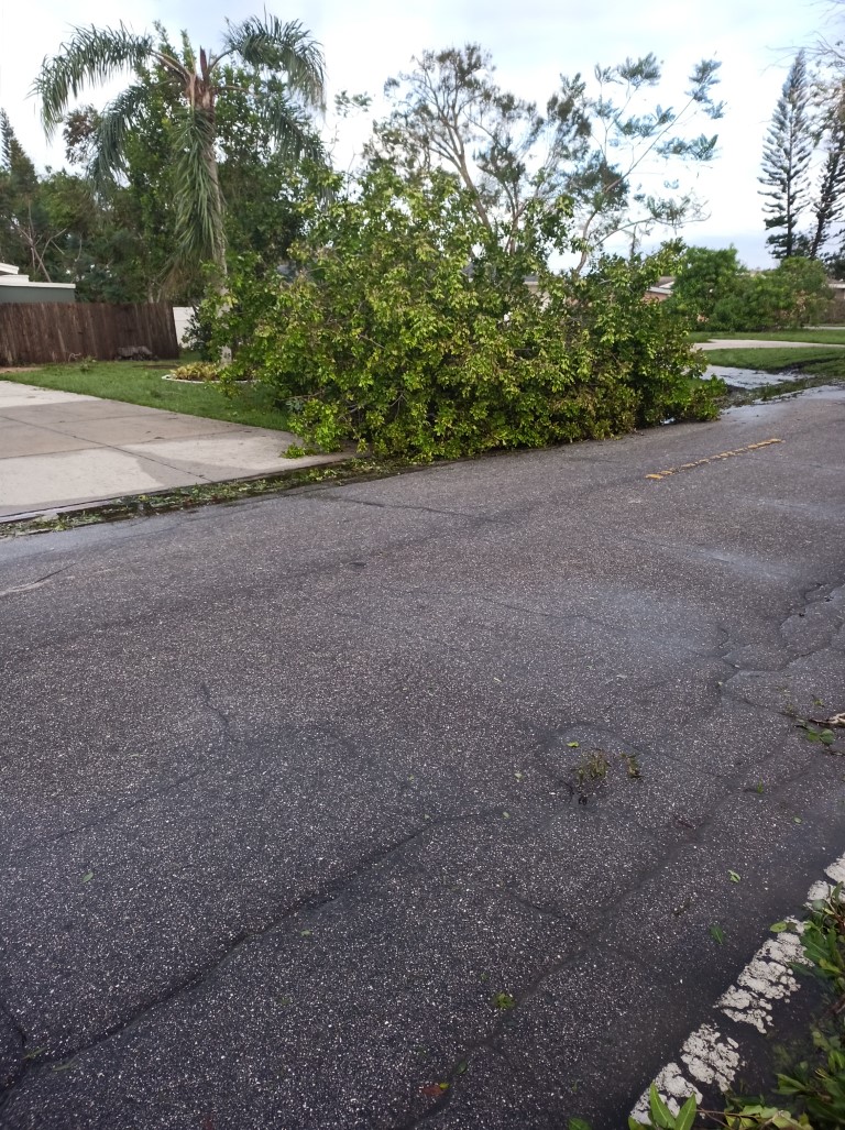 During Hurricane