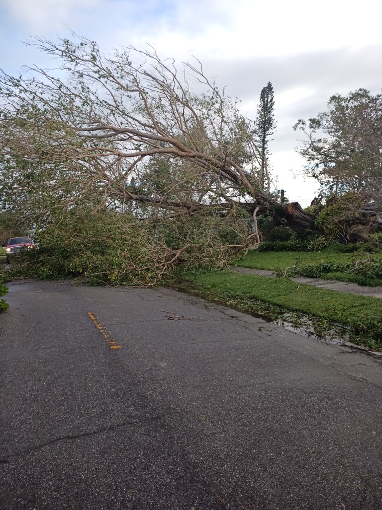 During Hurricane